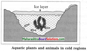 Maharashtra Board Class 10 Science Solutions Part 1 Chapter 5 Heat 3