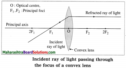 Maharashtra Board Class 10 Science Solutions Part 1 Chapter 7 Lenses 19