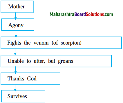 Maharashtra Board Class 10 English Solutions 3.1 Night of the Scorpion 3