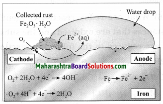 Maharashtra Board Class 10 Science Solutions Part 1 Chapter 3 Chemical Reactions and Equations 14