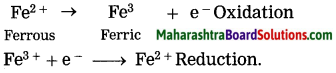 Maharashtra Board Class 10 Science Solutions Part 1 Chapter 3 Chemical Reactions and Equations 47