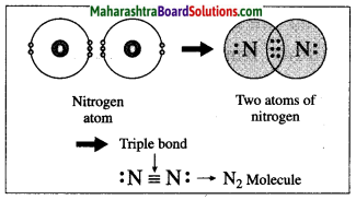 Maharashtra Board Class 10 Science Solutions Part 1 Chapter 9 Carbon Compounds 87