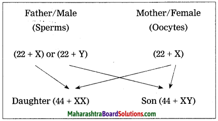 Maharashtra Board Class 10 Science Solutions Part 2 Chapter 2 Life Processes in Living Organisms Part - 2, 9