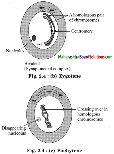 Maharashtra Board Class 10 Science Solutions Part 2 Chapter 2 Life Processes in living organisms Part - 1, 5