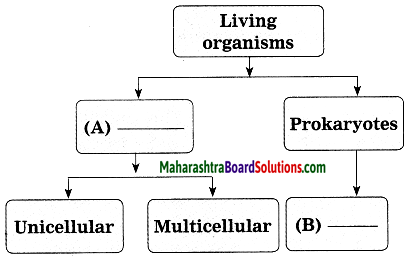 Maharashtra Board Class 10 Science Solutions Part 2 Chapter 6 Animal Classification 33