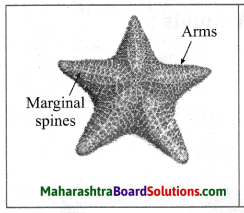 Maharashtra Board Class 10 Science Solutions Part 2 Chapter 6 Animal Classification 8