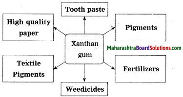 Maharashtra Board Class 10 Science Solutions Part 2 Chapter 7 Introduction to Microbiology 4