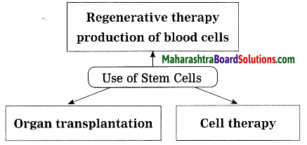 Maharashtra Board Class 10 Science Solutions Part 2 Chapter 8 Cell Biology and Biotechnology 4