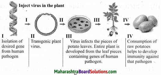 Maharashtra Board Class 10 Science Solutions Part 2 Chapter 8 Cell Biology and Biotechnology 8
