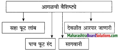 Maharashtra Board Class 10 Marathi Solutions Chapter 3 आजी कुटुंबाचं आगळ 10