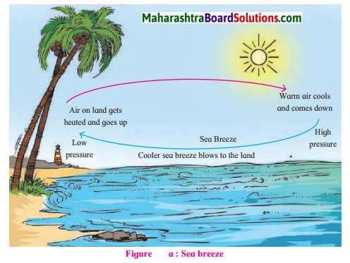 Maharashtra Board Class 7 Geography Solutions Chapter 5 Winds 9