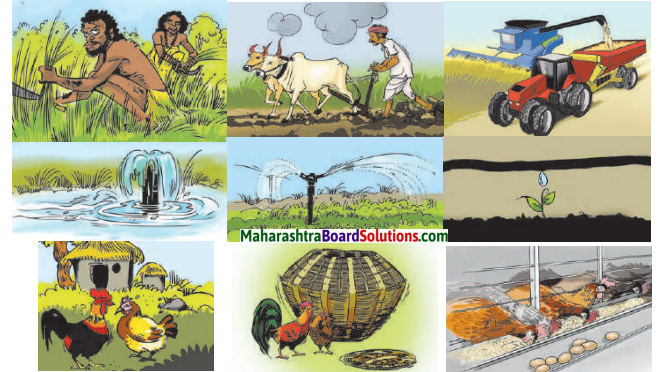 Maharashtra Board Class 7 Geography Solutions Chapter 9 Agriculture 3