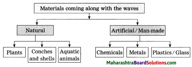 Maharashtra Board Class 8 Geography Solutions Chapter 4 Structure of Ocean Floor 8