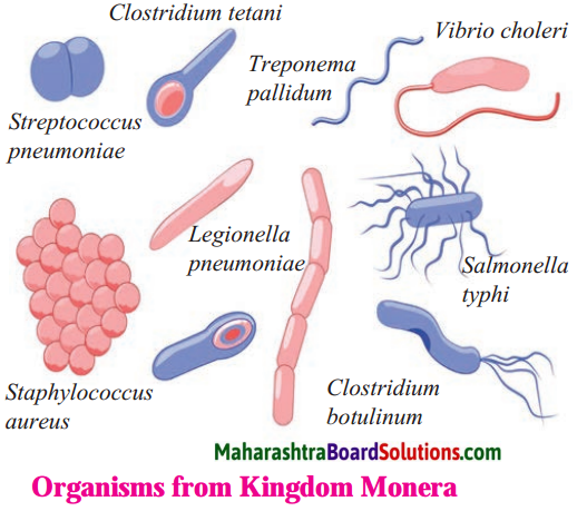 Maharashtra Board Class 8 Science Solutions Chapter 1 Living World and Classification of Microbes 12
