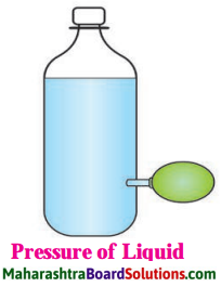 Maharashtra Board Class 8 Science Solutions Chapter 3 Force and Pressure 1