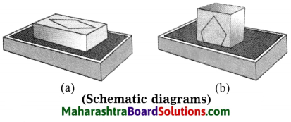 Maharashtra Board Class 8 Science Solutions Chapter 3 Force and Pressure 17