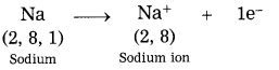Maharashtra Board Class 8 Science Solutions Chapter 7 Metals and Nonmetals 3