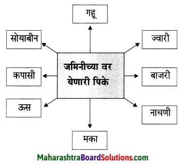 Maharashtra Board Class 6 Marathi Solutions Chapter 13 मोठी आई 10.4