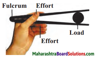 Maharashtra Board Class 6 Science Solutions Chapter 12 Simple Machines 4