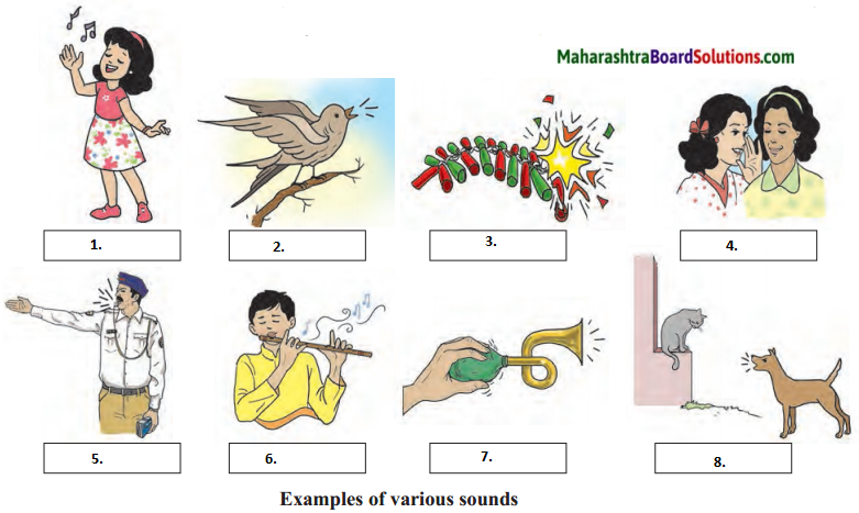 Maharashtra Board Class 6 Science Solutions Chapter 13 Sound 