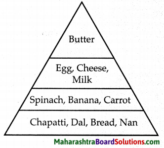Maharashtra Board Class 6 Science Solutions Chapter 7 Nutrition and Diet 4