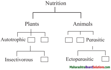 Maharashtra Board Class 7 Science Solutions Chapter 4 Nutrition in Living Organisms 2