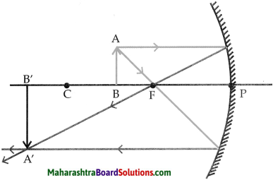 Maharashtra Board Class 9 Science Solutions Chapter 11 Reflection of Light 6