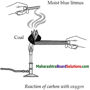Maharashtra Board Class 9 Science Solutions Chapter 13 Carbon An Important Element 20