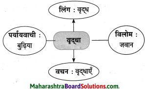 Maharashtra Board Class 10 Hindi Solutions Chapter 2 खोया हुआ आदमी 13