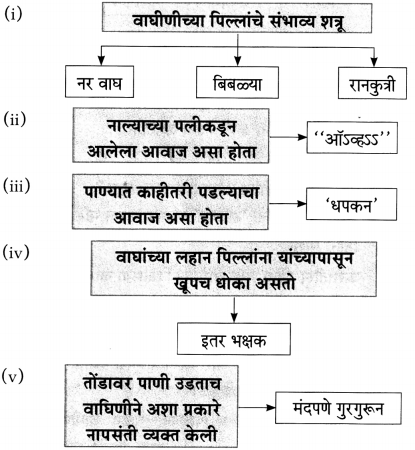 Maharashtra Board Class 10 Marathi Aksharbharati Solutions Chapter 11 जंगल डायरी 5