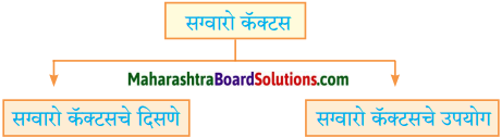 Maharashtra Board Class 10 Marathi Aksharbharati Solutions Chapter Chapter 12 रंग मजेचे रंग उदयाचे 7