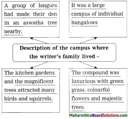 Maharashtra Board Class 10 My English Coursebook Solutions Chapter 1.2 An Encounter of a Special Kind 17