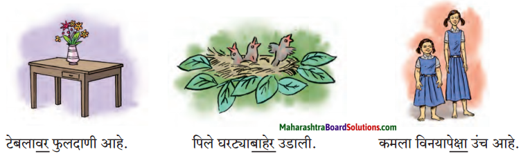 Maharashtra Board Class 7 Marathi Solutions Chapter 7.1 आजारी पडण्याचा प्रयोग 10