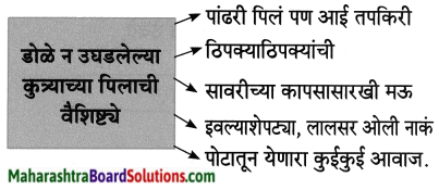 Maharashtra Board Class 8 Marathi Solutions Chapter 10 आम्ही हवे आहोत का 5