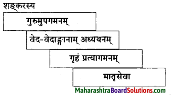 Maharashtra Board Class 10 Sanskrit Amod Solutions Chapter 12 आदिशङ्कराचार्यः 10.1
