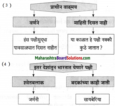 Maharashtra Board Class 9 Marathi Aksharbharati Solutions Chapter 11 आभाळातल्या पाऊलवाटा 10