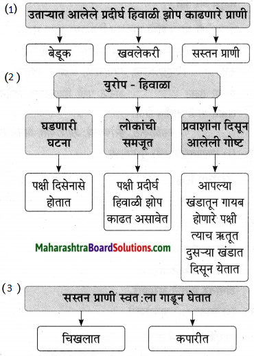 Maharashtra Board Class 9 Marathi Aksharbharati Solutions Chapter 11 आभाळातल्या पाऊलवाटा 12