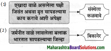 Maharashtra Board Class 9 Marathi Aksharbharati Solutions Chapter 11 आभाळातल्या पाऊलवाटा 19