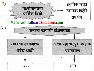 Maharashtra Board Class 9 Marathi Aksharbharati Solutions Chapter 11 आभाळातल्या पाऊलवाटा 28