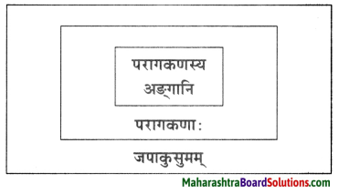 Maharashtra Board Class 10 Sanskrit Anand Solutions Chapter 4 स एव परमाणुः 3