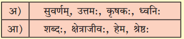 Maharashtra Board Class 10 Sanskrit Anand Solutions Chapter 5 युग्ममाला 5