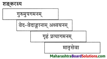 Maharashtra Board Class 10 Sanskrit Anand Solutions Chapter 9 आदिशङ्कराचार्यः 6