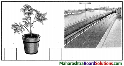 Maharashtra Board Class 5 Hindi Solutions Chapter 12 बचत 4