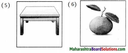 Maharashtra Board Class 5 Hindi Solutions Chapter 13 पहचान हमारी - भाग (२) 4