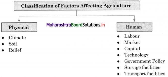 Maharashtra Board Class 12 Geography Solutions Chapter 4 Primary Economic Activities 7