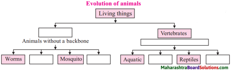 maharashtra-board-class-5-evs-solutions-part-2-chapter-4-evolution