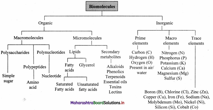 Maharashtra Board Class 11 Biology Important Questions Chapter 6 Biomolecules 12