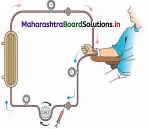Maharashtra Board Class 11 Biology Solutions Chapter 15 Excretion and Osmoregulation 10