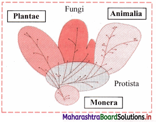 Maharashtra Board Class 11 Biology Solutions Chapter 2 Systematics of Living Organisms 2