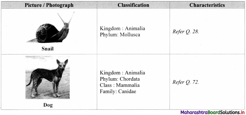 Maharashtra Board Class 11 Biology Solutions Chapter 4 Kingdom Animalia 18